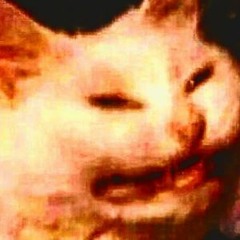 let's get fricking memeing tonight: the sequel