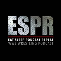 EPISODE 67 - Hell in a Cell Review