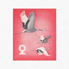 Didòmhnaich #2 | Spatzhabibi | Side A