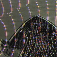 Clebs - Light Spectrum (Time Wharp Remix)