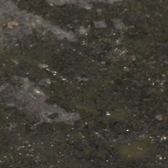 Eminem vs Punjabi MC