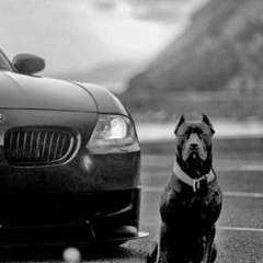 Тихо из дворов,катаный без номеров