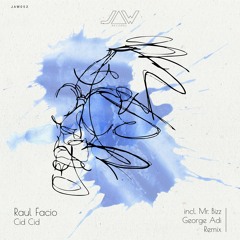 Raul Facio - Cid Cid | Mr.Bizz Remix