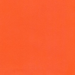 A2. Newa - One