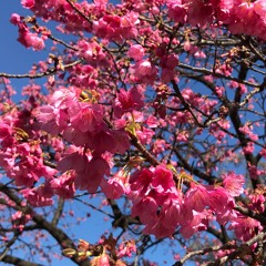 a lyrical exercise (prod. Nadrix)