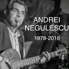 Andrei Negulescu - Nebun De Alb (cover)
