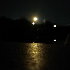 New private playlist