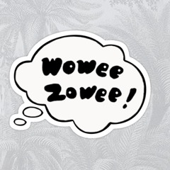 O Y O - Cut Your Hair [BLUEGRASS Pavement Cover] (Live at Little Fish July 7 2018)