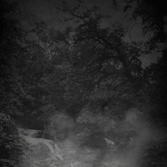 Dark Woods (Instrumental Demo)