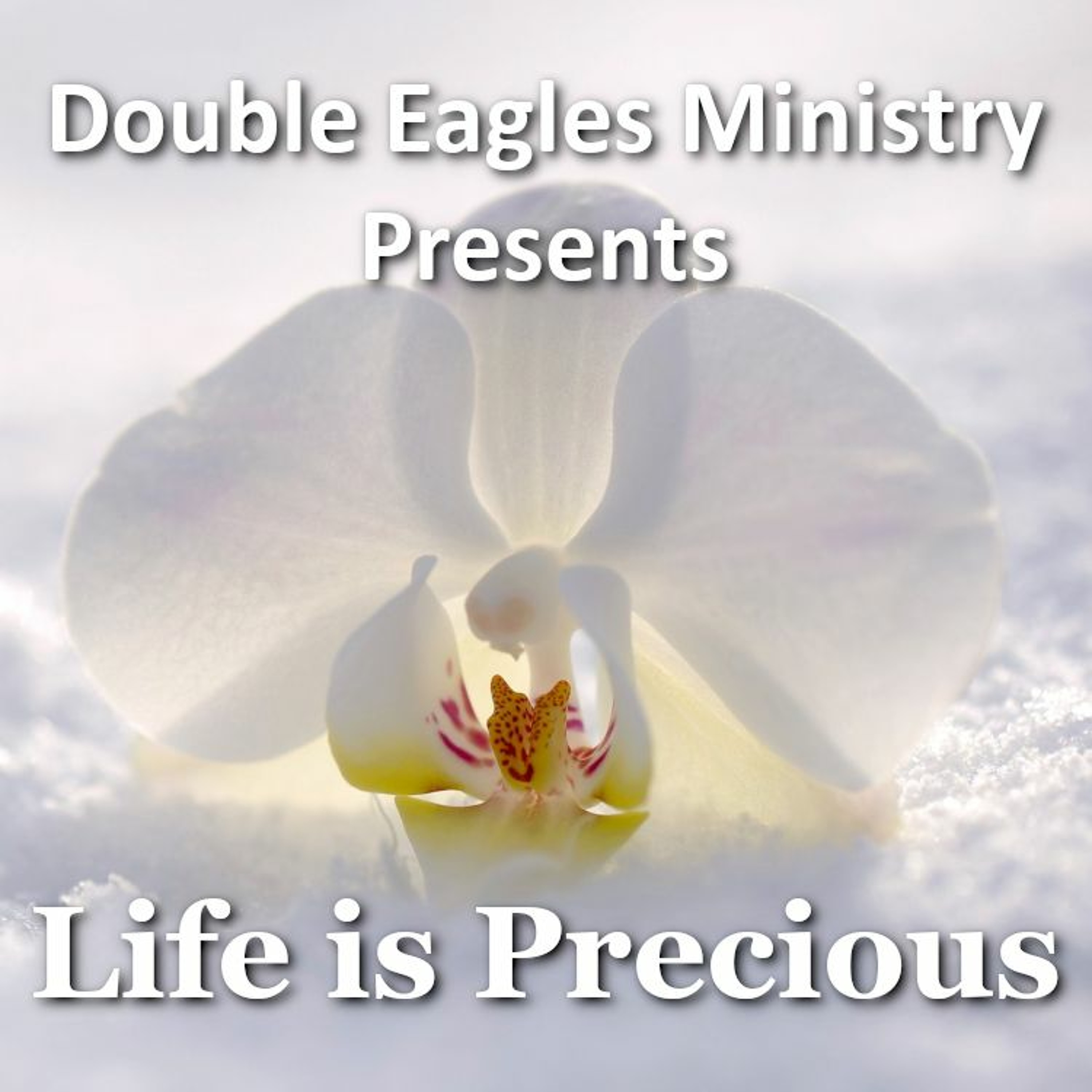 Life Is Precious episode artwork
