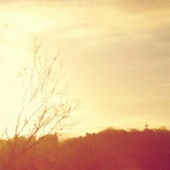 Everyday Everyday (2000)