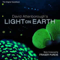 DAVID ATTENBOROUGH'S: LIGHT ON EARTH / LIFE THAT GLOWS (2016 - documentary) by Fraser Purdie