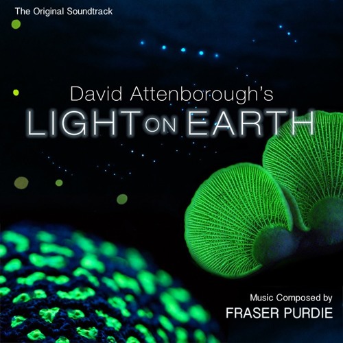 Stream Documenting the | Listen to ATTENBOROUGH'S: LIGHT ON EARTH / LIFE THAT GLOWS (2016 - documentary) by Fraser Purdie playlist online for free on SoundCloud