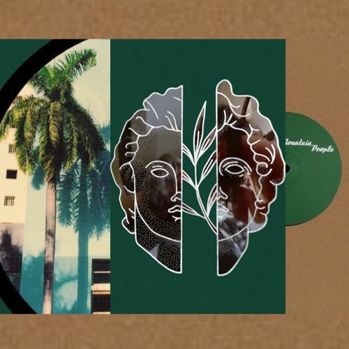 010 TECHNO ONLY VINYL - DEMUJA - Hidden Paradise_SOMH - Palm 404_MOUNTAIN PEOPLE - Je Trouve