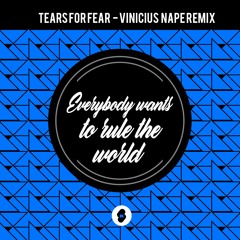 Tears For Fear - Everybody Wants to Rule the World (Vinicius Nape Remix)**FREE DOWN**