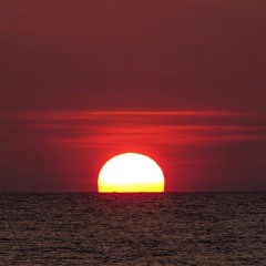 Certidão - Casuarina (By Felipe Monroe)