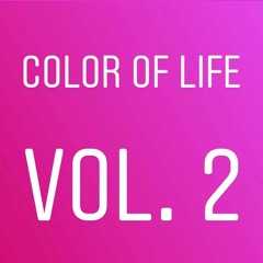 Color Of Life Vol. 2