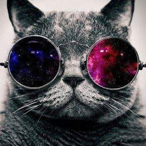 TECHNO