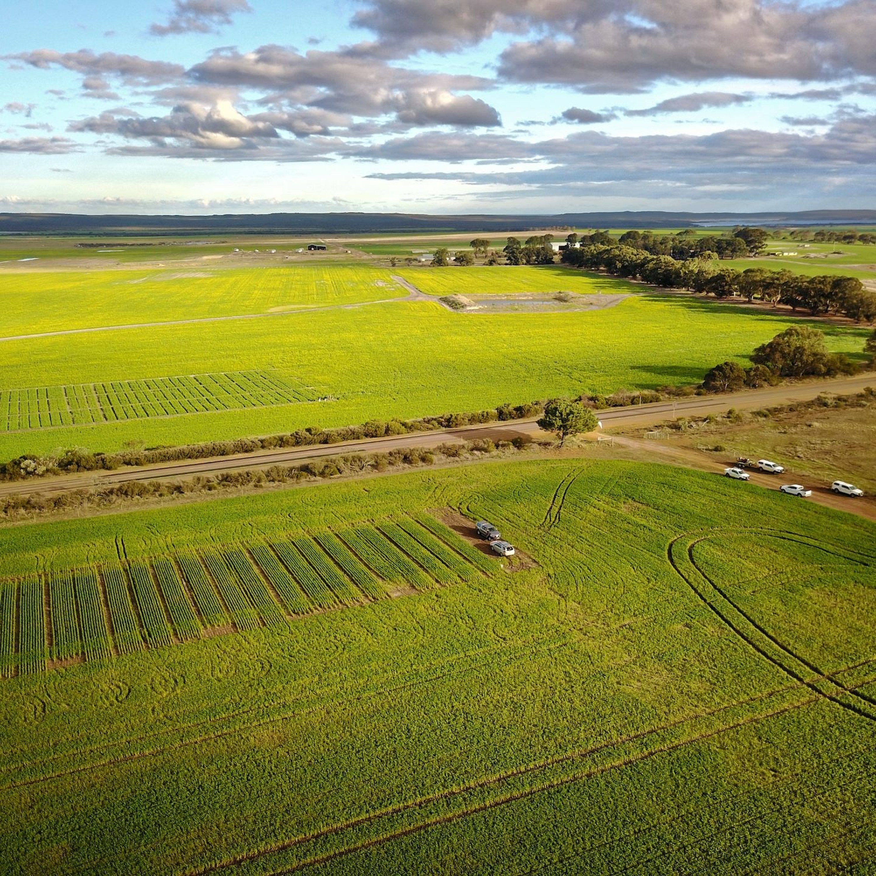 Bayer Crop Science Australia