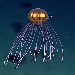 Pete Drungle & Friends @ HEADZ May27, 2018