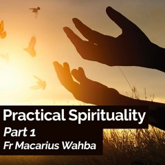 Practical Spirituality - Part 1 - Fr Macarius Wahba