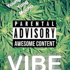 VIBE Ft Yung Mucho Prod by Yung Mucho