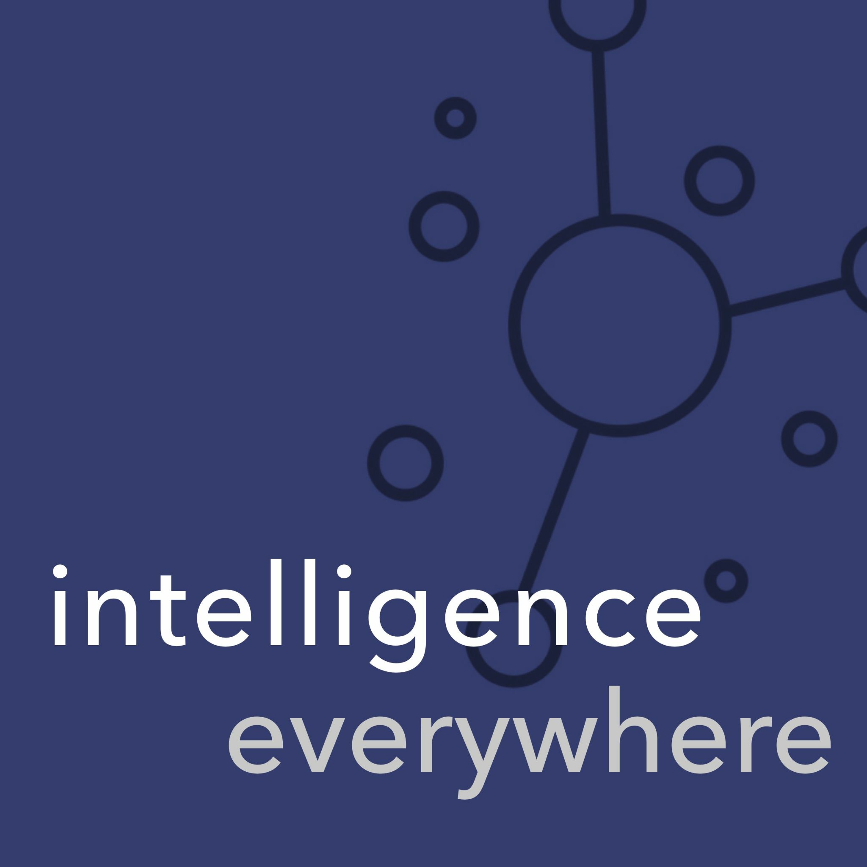 Introducing Intelligence Everywhere