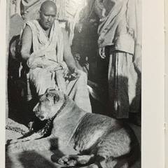 TheRain has been delayed