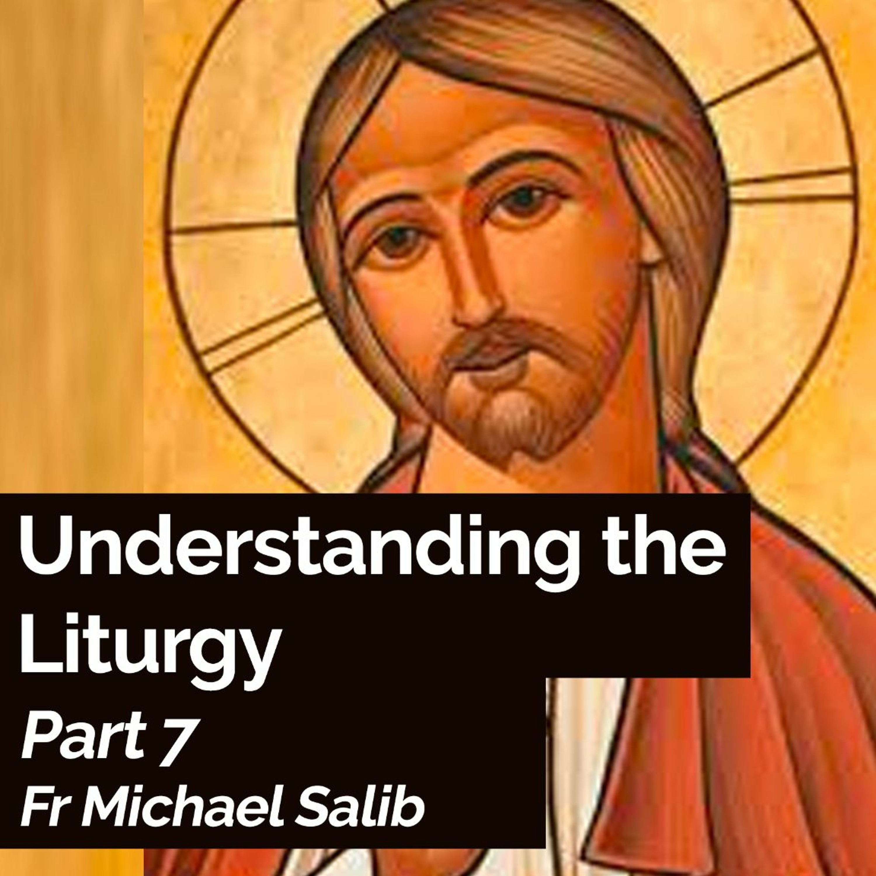 Understanding The Liturgy - Part 7 - Fr Michael Salib