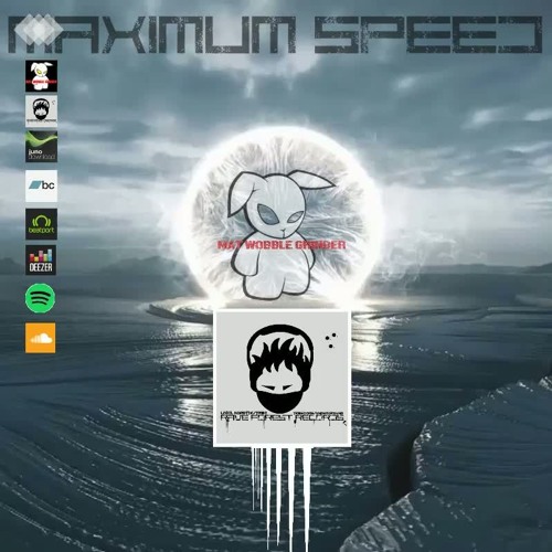 MAXIMUM SPEED