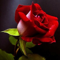 شيله - جرح الغياب _ اداء - بحه صوت _ كلمات - الجعي(MP3_128K).mp3