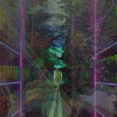 AIA(A Rogue's Journey)