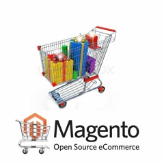 Your Step-by-Step Guide to Perfect Magento e-Store Management