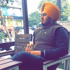 Budget-Kaur B
