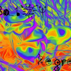 My welfare cheque doesn't cover the pubic lice treatment so i make music