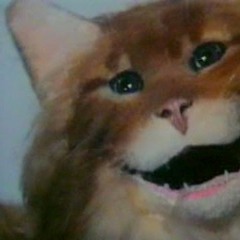 AsticoTribe feat Ztimilon