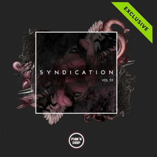 StoKed - Bashment (Original Mix) [Funk'n Deep] Preview