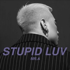 Stupid Luv - Mr. A