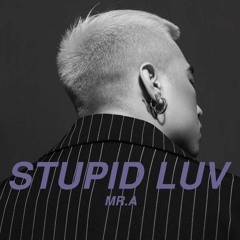 MR.A - STUPID LUV (OFFICIAL AUDIO)