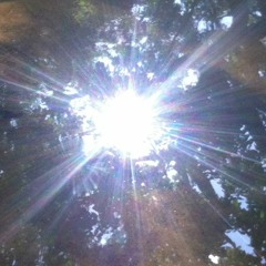 albero della saggezza