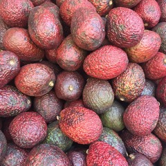 Stay In Tune (instrumental: keep it real - Milkbone)iPhone recorded