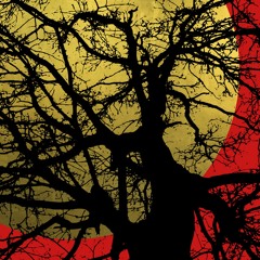 RXVP & RADAX - PSY preview