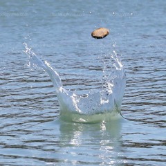 Ricochets Between (2010)