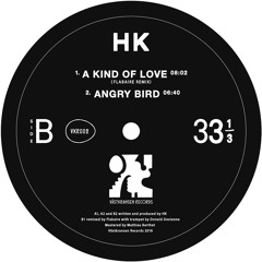 PREMIERE: HK - A Kind of Love (Flabaire Remix)[Västkransen Records]