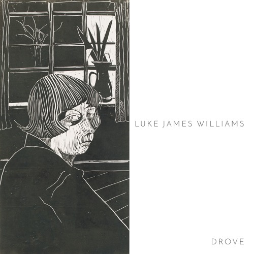 Luke James Williams - From The Drove