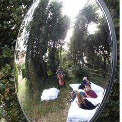 Tree Songs_Live recording
