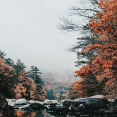 Playing Records On Sunday