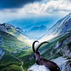 Sacred Warrior (Premix)