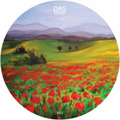 A1. DRG Series - #DRGS03A