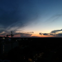 GENESIS - Mr.(Alonso) Rabbits